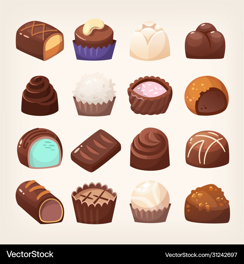 Assorted Chocolate Sweets Collection vector image