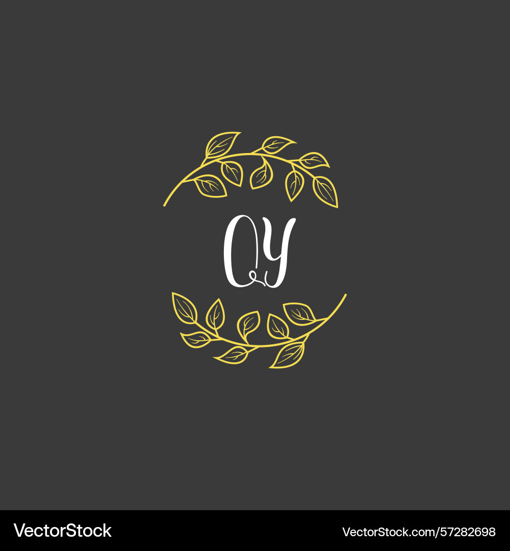 Botanical monogram logos with initial qy Vector Image