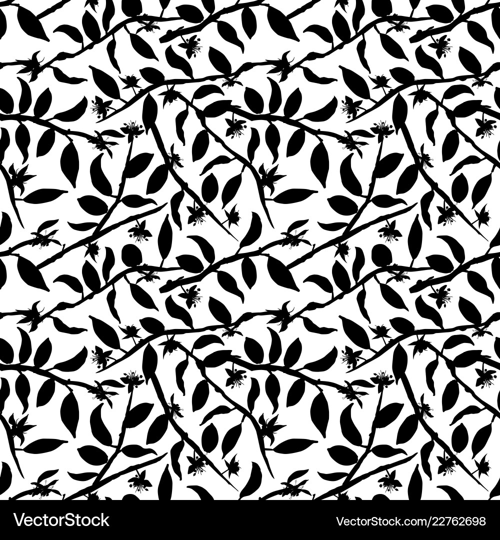 Cacao Flower Branch Pattern Vector Image