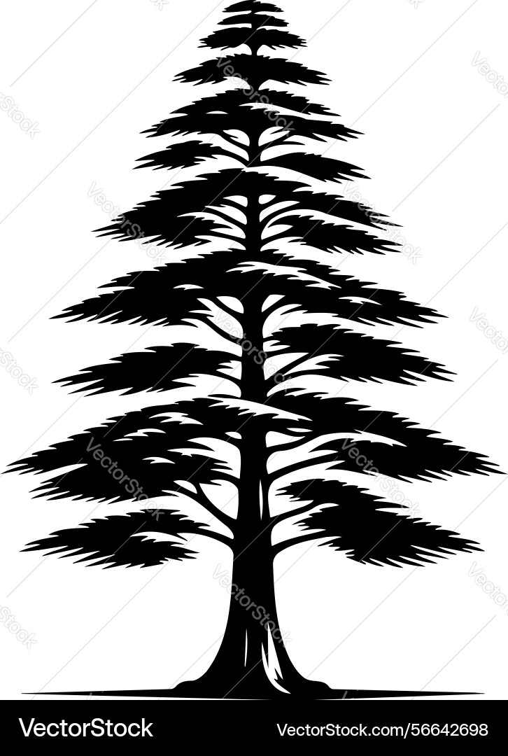 X-default cypress tree symbol Vector Image
