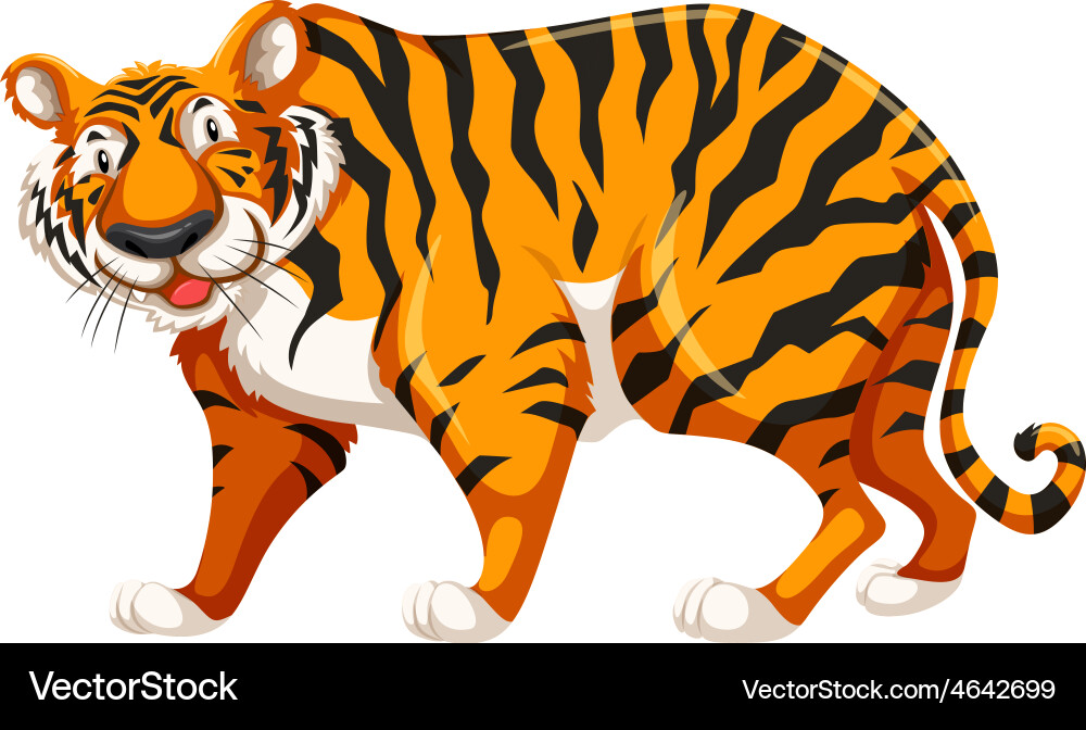 Vector Comic Tiger Tiger (4642699) – Royalty-Free Vector | VectorStock