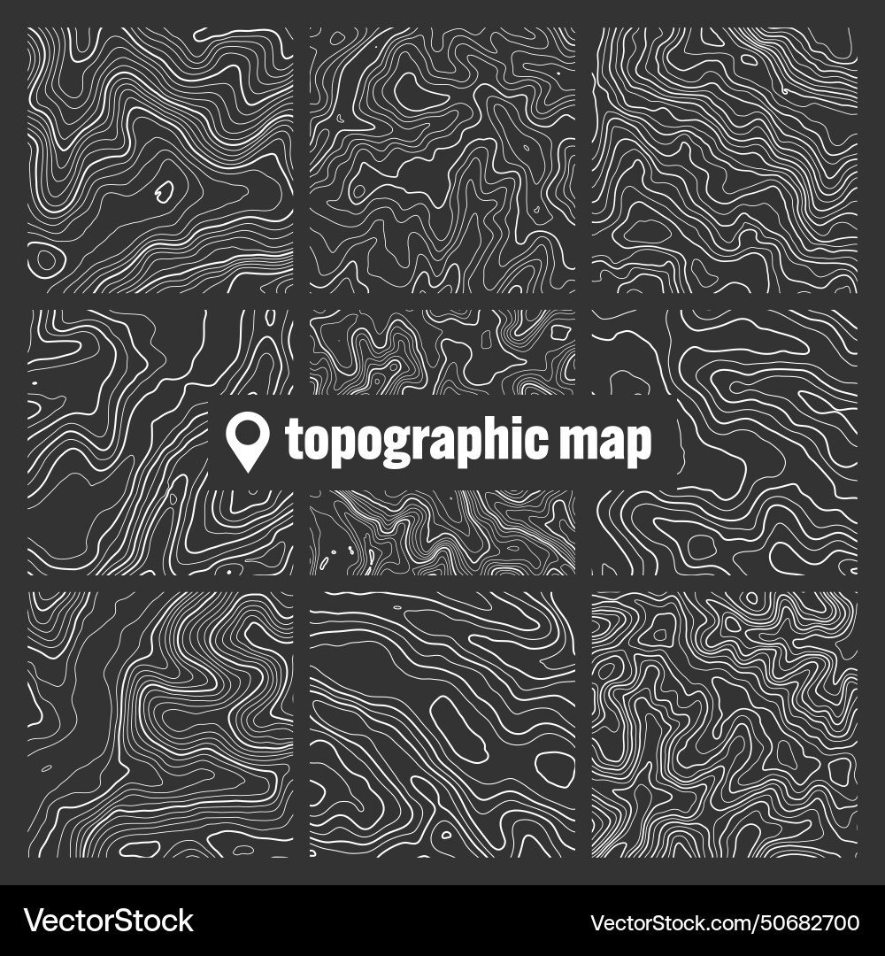 Topographic map with contour lines geographic Topographic map with contour lines geographic vector image