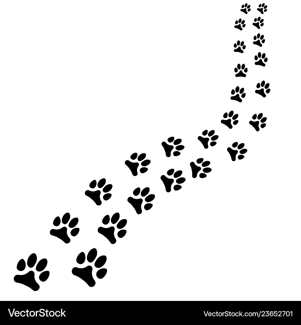 Animal Footprints Path Vector Image