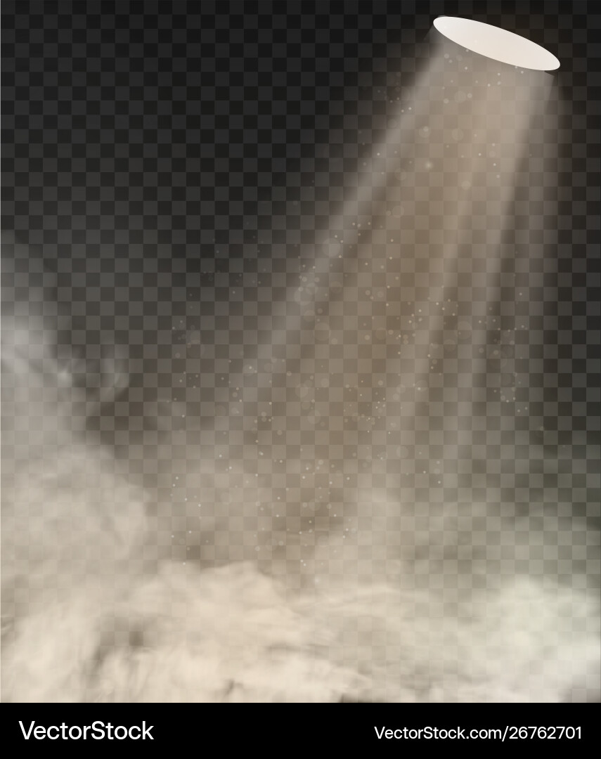 Light lamp and smoke isolated on transparent – Royalty-Free Vector |  VectorStock, image size:855x1080