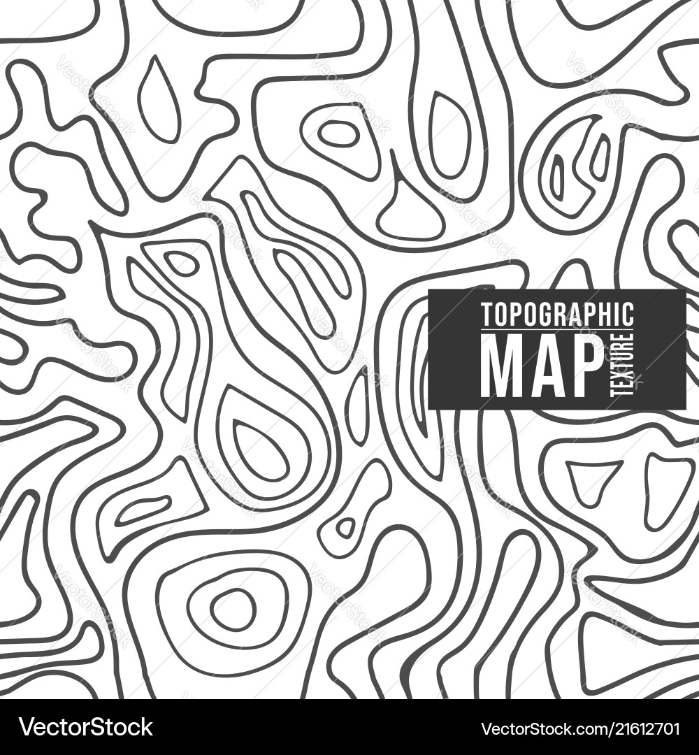 Topographic Map Seamless Pattern vector image