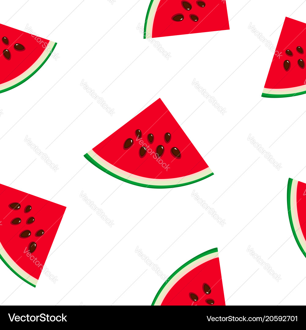 Watermelon Slice Pattern vector image
