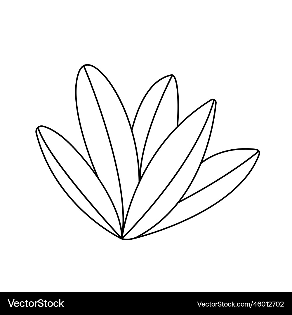 Autumn line hand - drawn leaves eps10 Autumn line hand - drawn leaves eps10 vector image