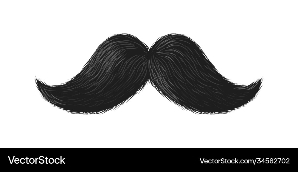 Black moustache cute curly simple mustache vector image