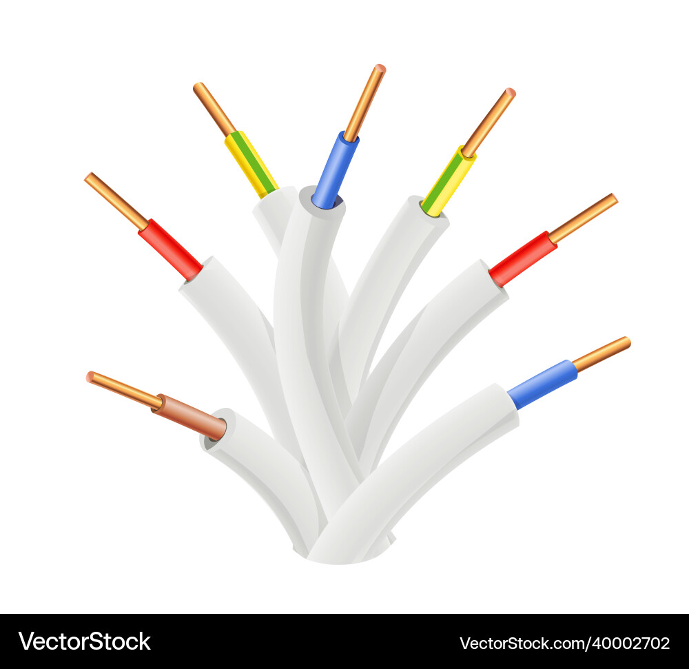 Bundle of electric cable Vector Image