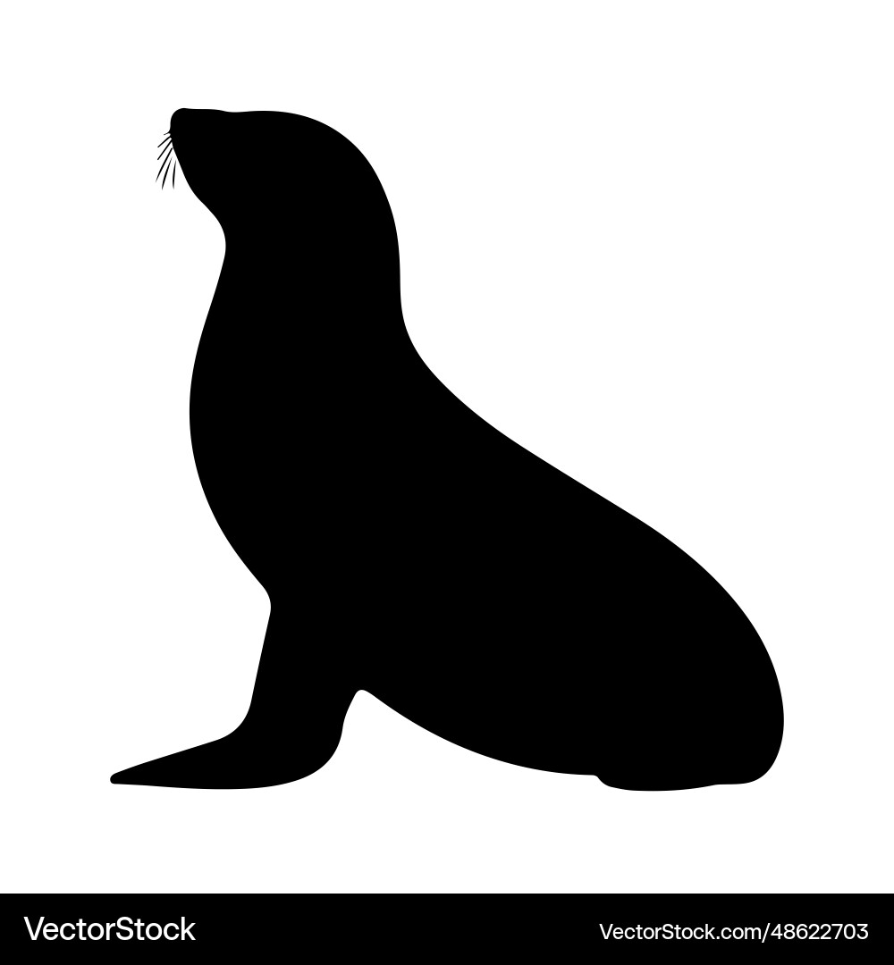 Seal silhouette Seal silhouette vector image