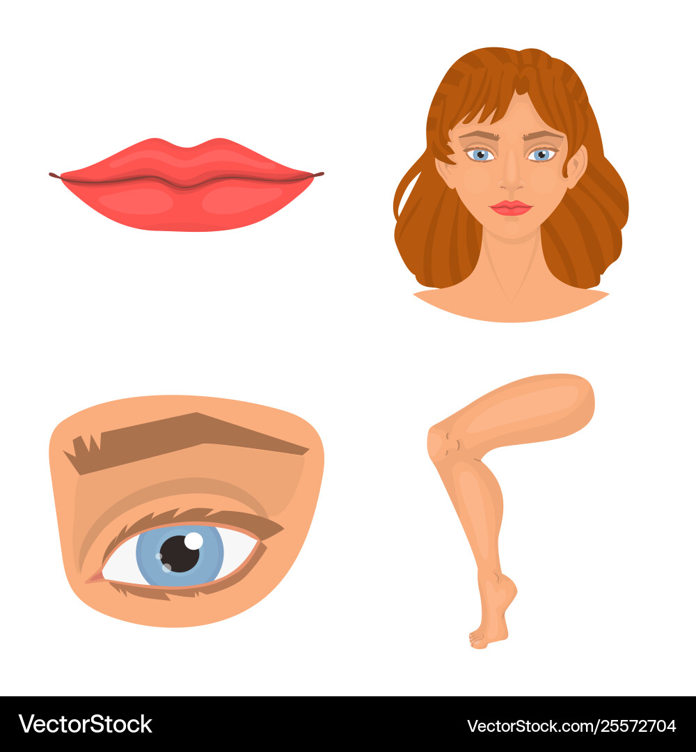 Design body and part icon collection Design body and part icon collection vector image