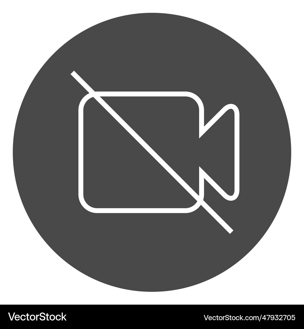 Camera off button circle icon vector image