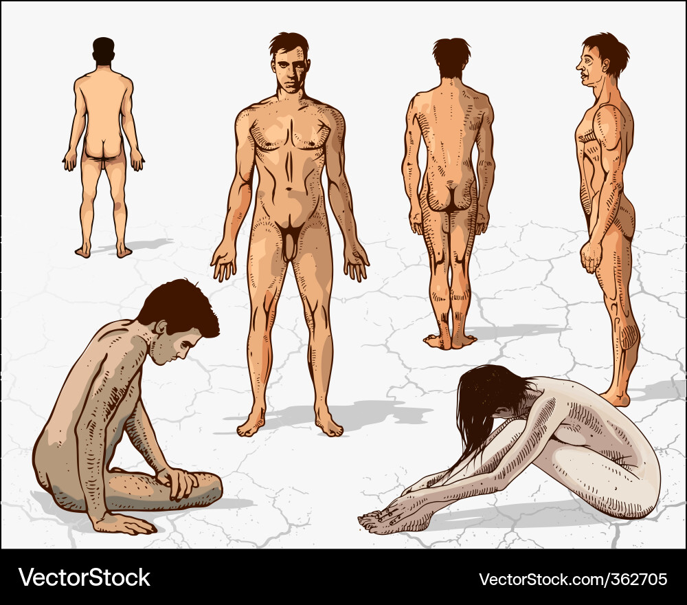 Nude Human Figures Vector Image