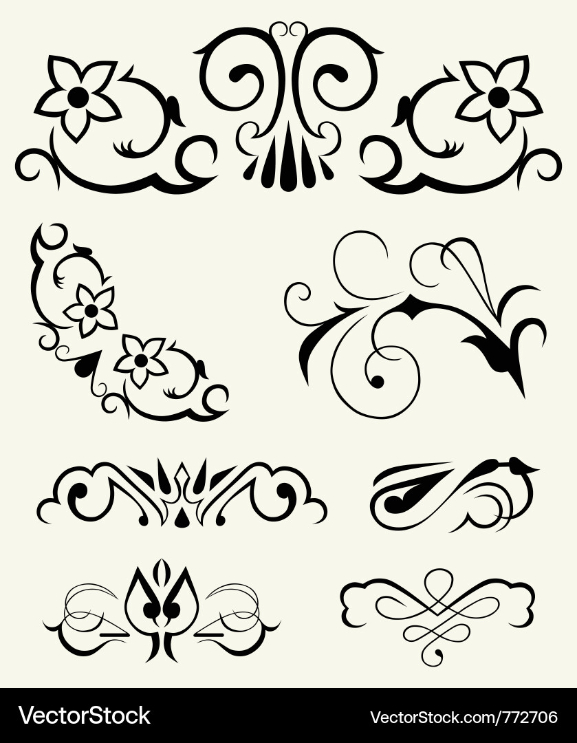 Calligraphic Elements & Ornaments vector image