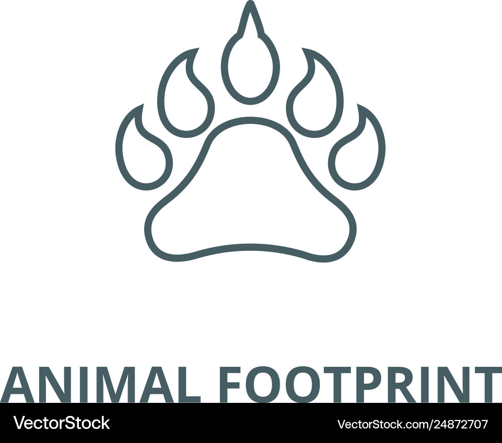 Animal footprint line icon vector image
