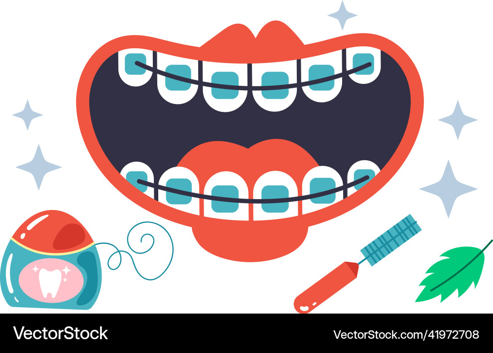 Cleaning brackets system tools Cleaning brackets system tools vector image