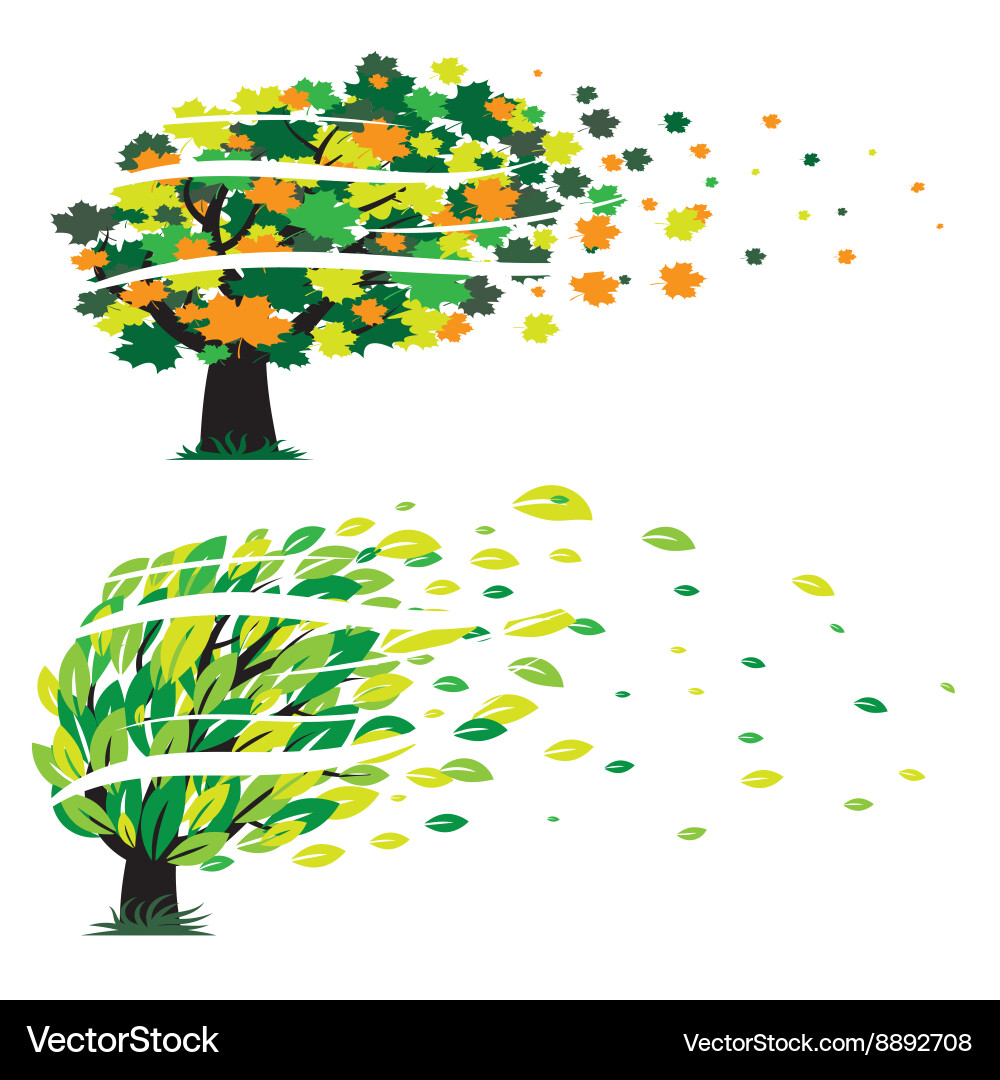 Different trees Vector Image