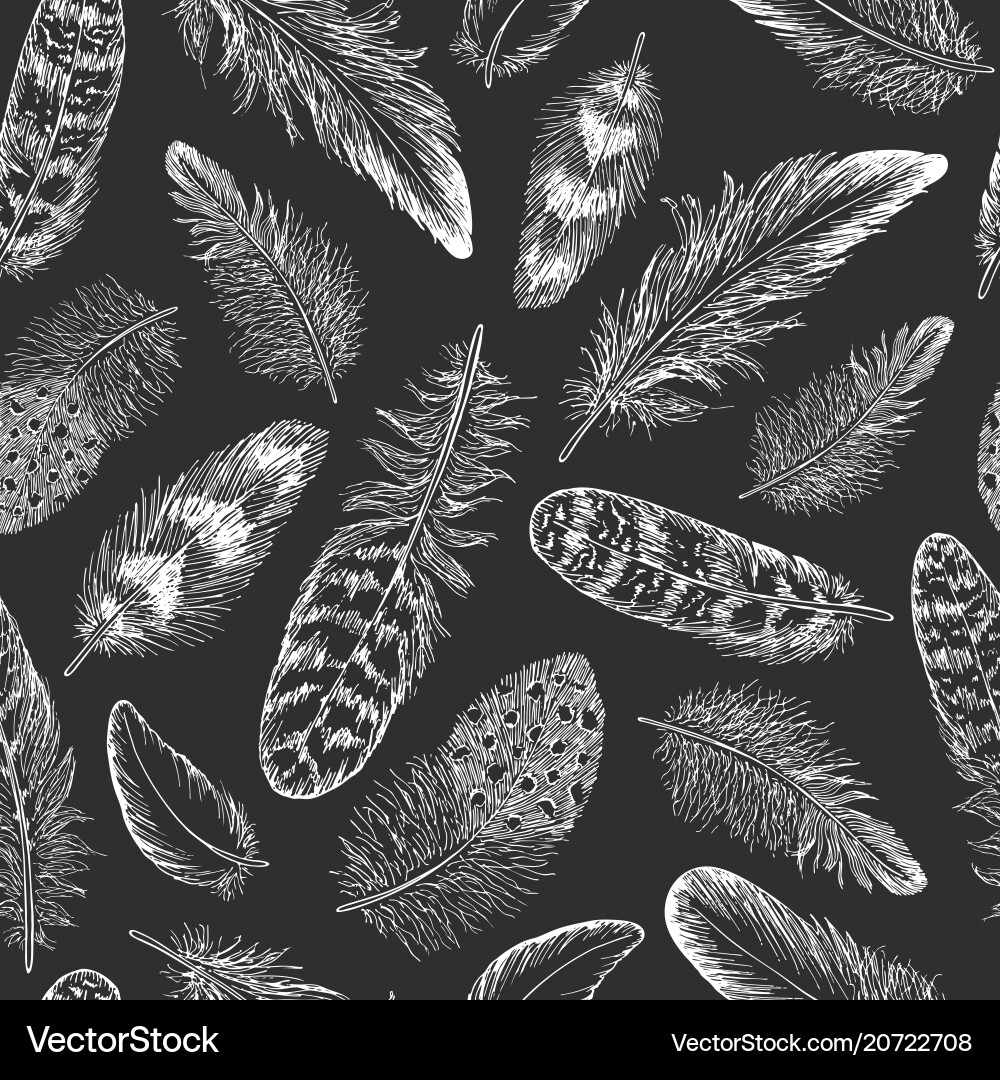 Feathers sketch seamless pattern Feathers sketch seamless pattern vector image