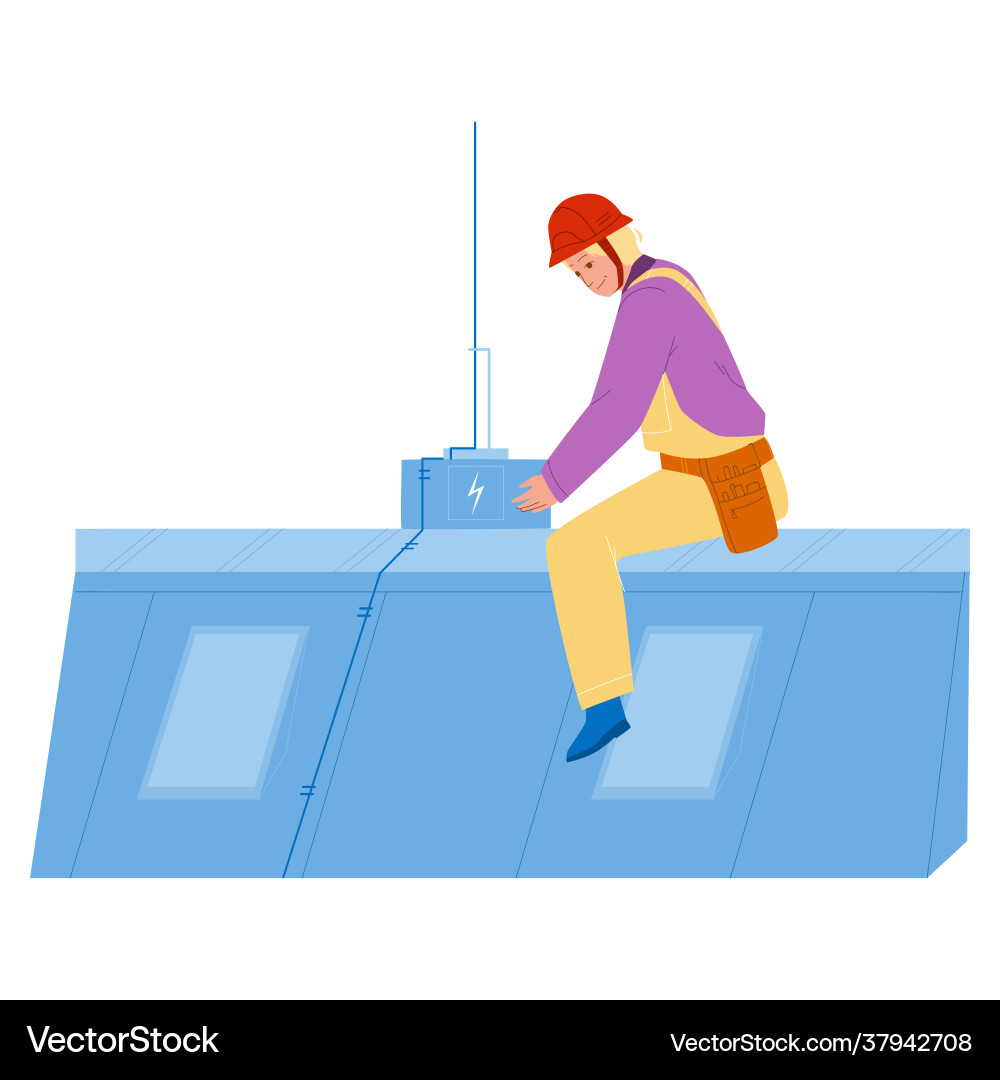 Lightning protection system installing man Lightning protection system installing man vector image