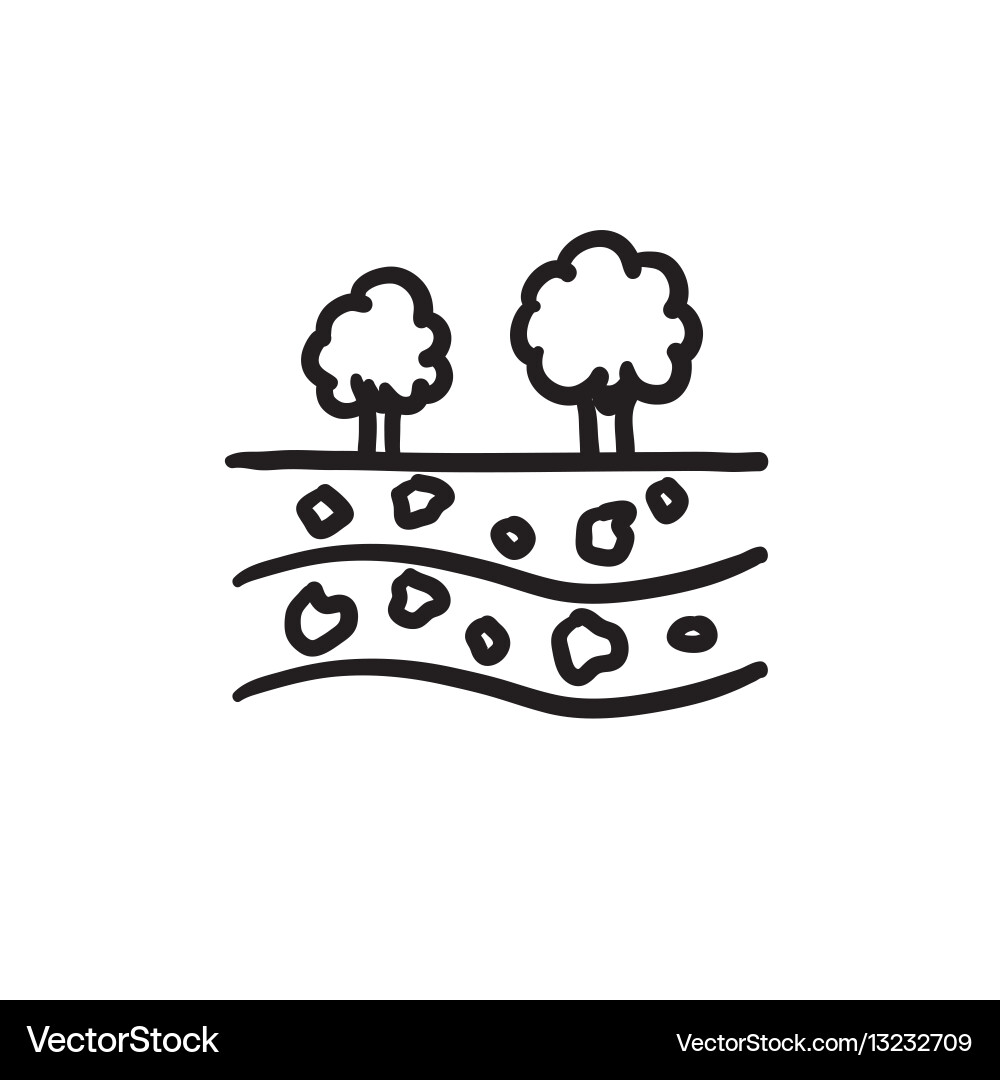 Cut of soil with different layers sketch icon Vector Image