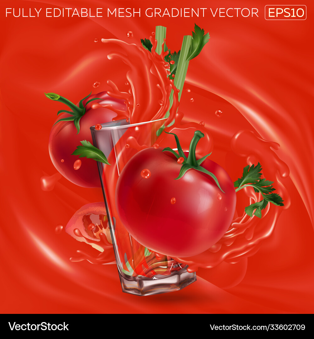 Tomatoes and celery a glass with splashing Vector Image