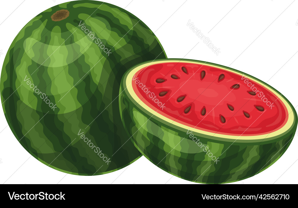 Wassermelone Slice - Ganz & Halb Vektorbild