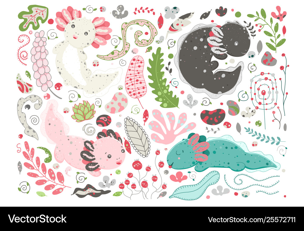 Cute kawaii axolotl baamphibian drawing Cute kawaii axolotl baamphibian drawing vector image