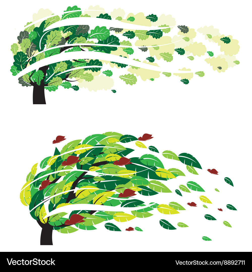 Different trees Vector Image