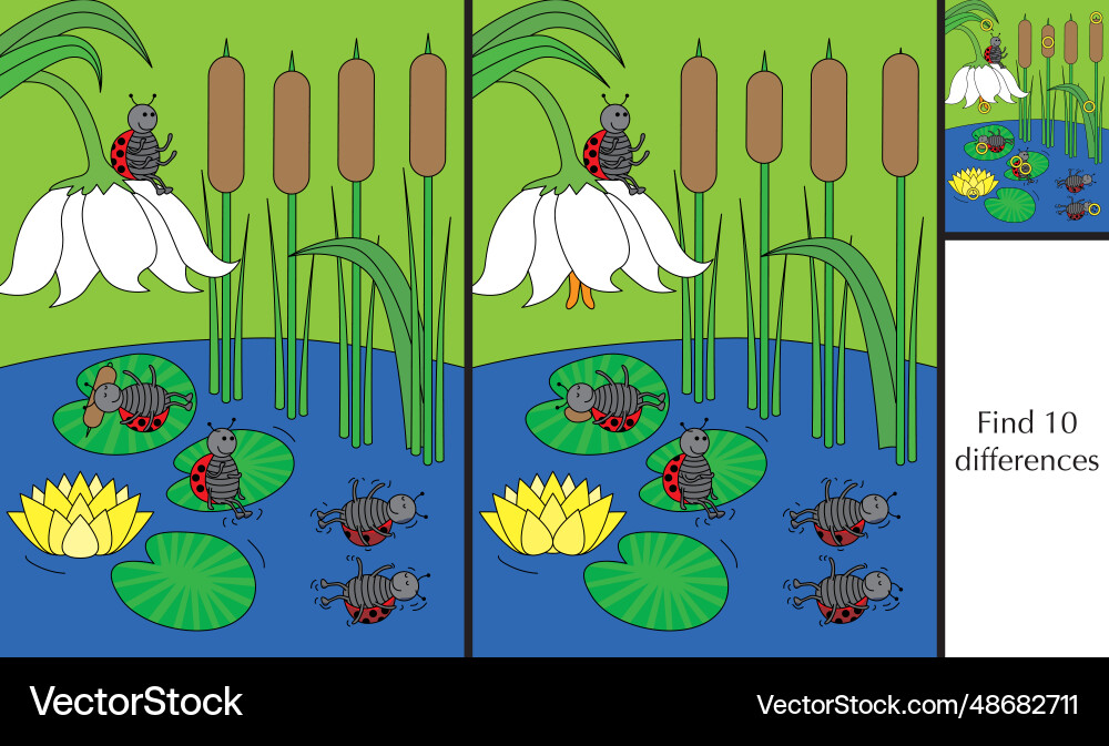 Finding differences puzzle Vector Image