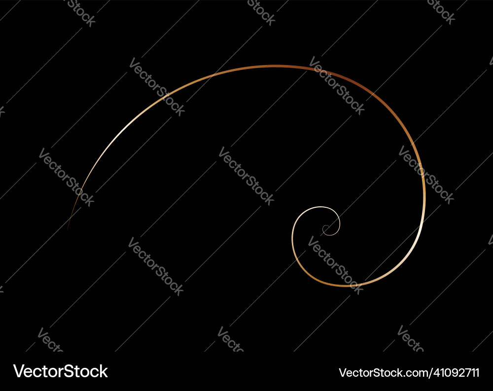 Golden ratio fibonacci spiral section Golden ratio fibonacci spiral section vector image