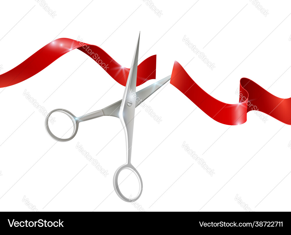 Scissors and ribbon realistic Scissors and ribbon realistic vector image