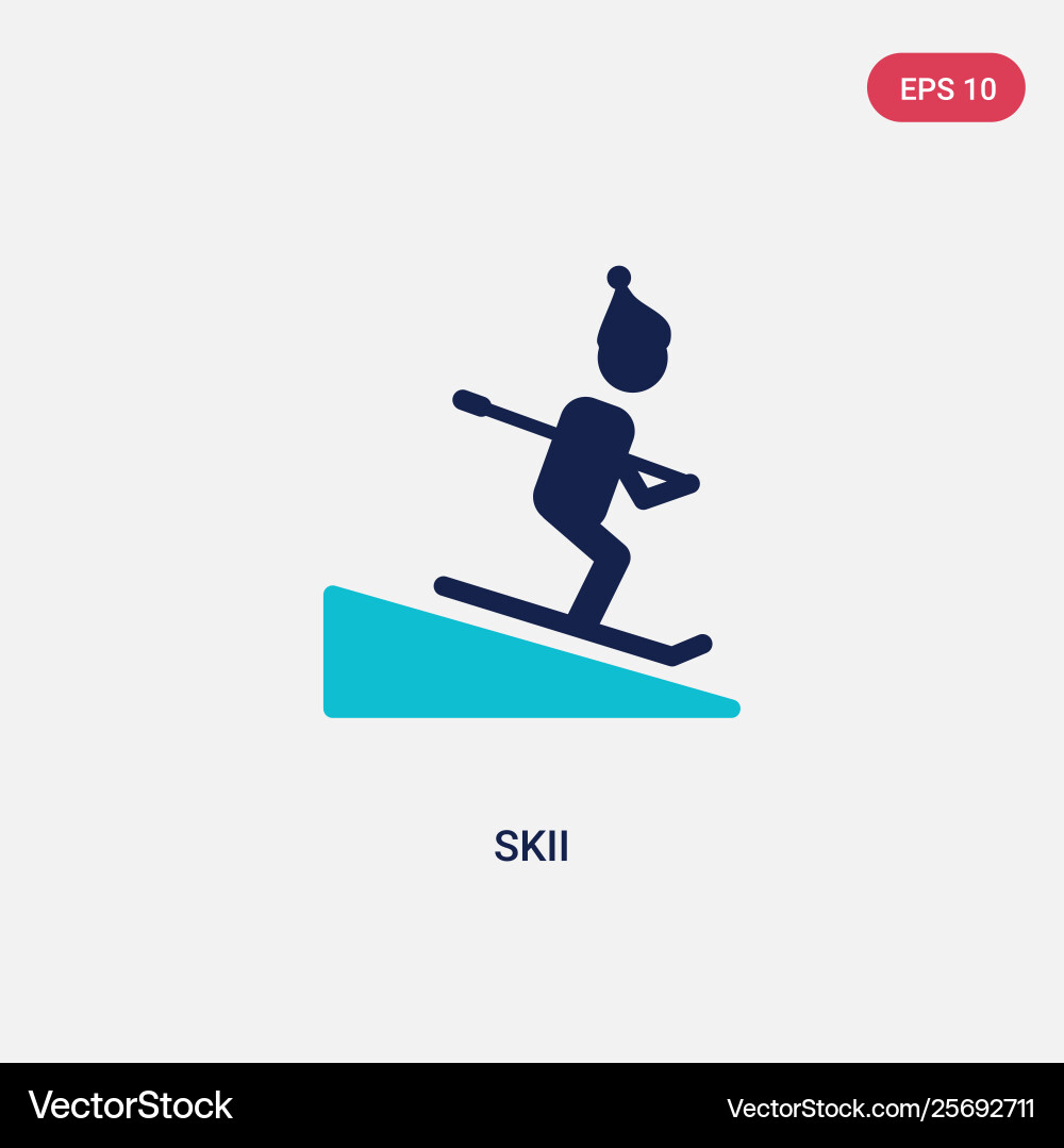 Two color skii icon from outdoor activities Vector Image