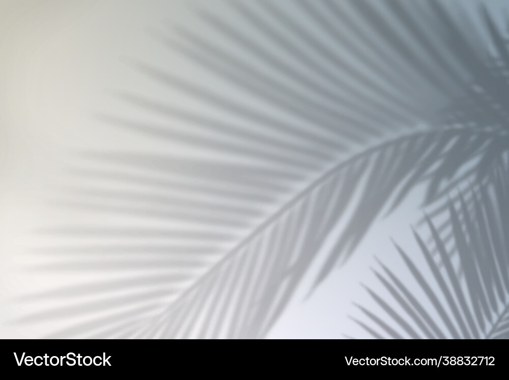 Gradient Leaf Shadow Background vector image