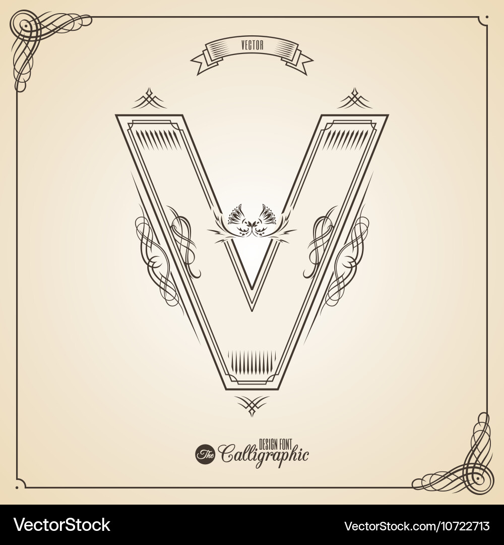Calligraphic fotn with border frame elements vector image