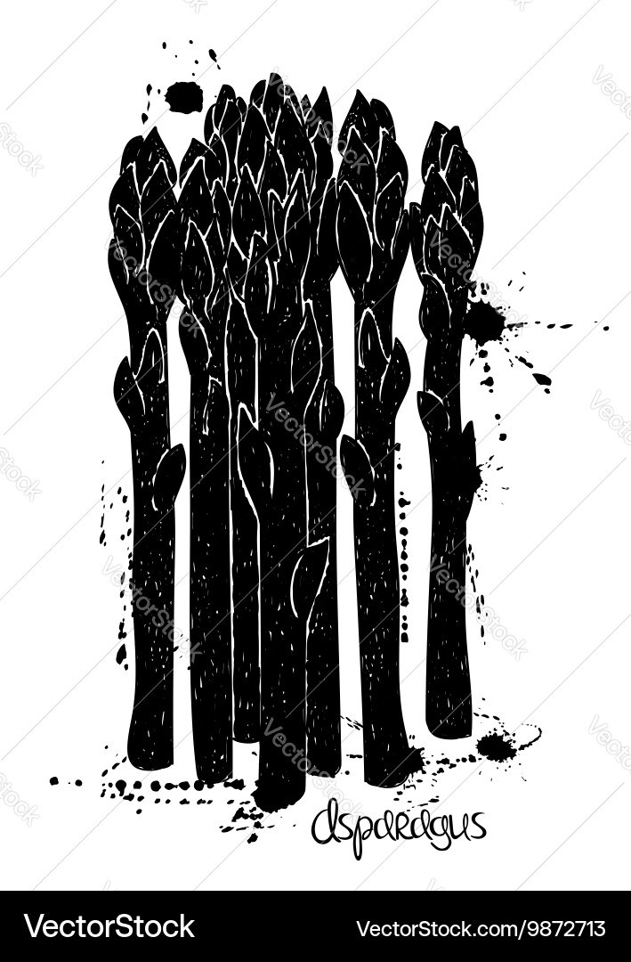 Isolated black asparagus silhouette Vector Image