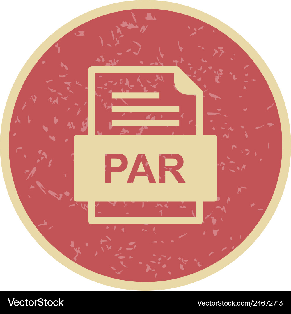 Par file document icon vector image