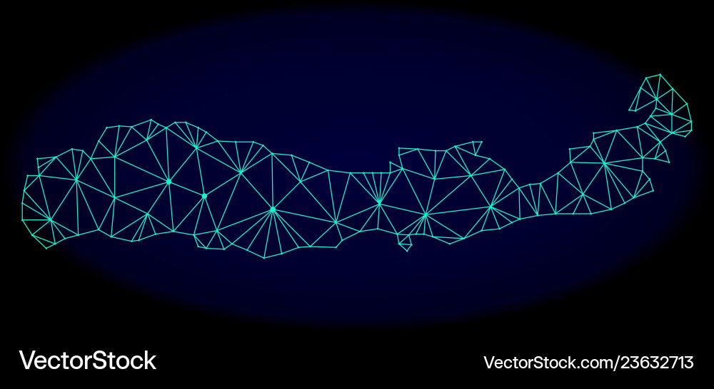 Polygonal wire frame mesh abstract map Polygonal wire frame mesh abstract map vector image