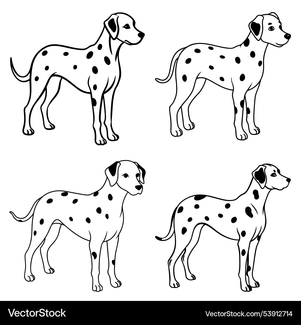 3d rendering of dynamic dalmatian silhouette line Vector Image