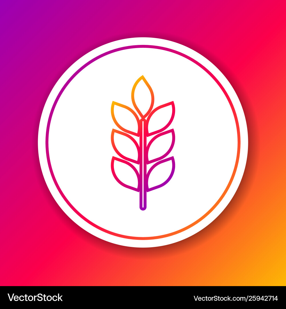 Color cereals icon set with rice wheat corn Color cereals icon set with rice wheat corn vector image