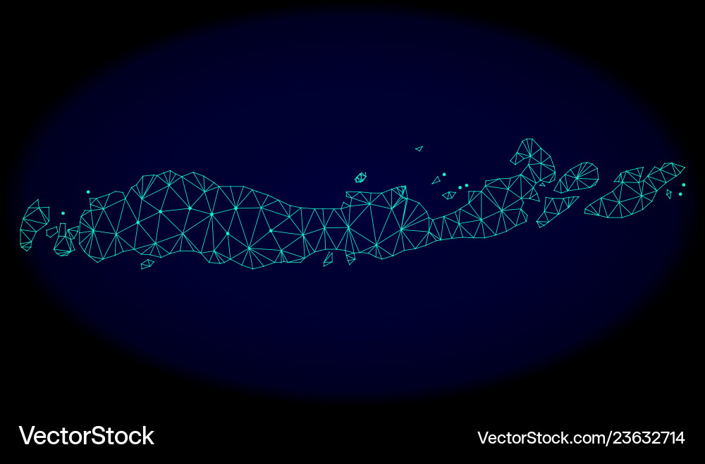 Polygonal wire frame mesh abstract map Polygonal wire frame mesh abstract map vector image