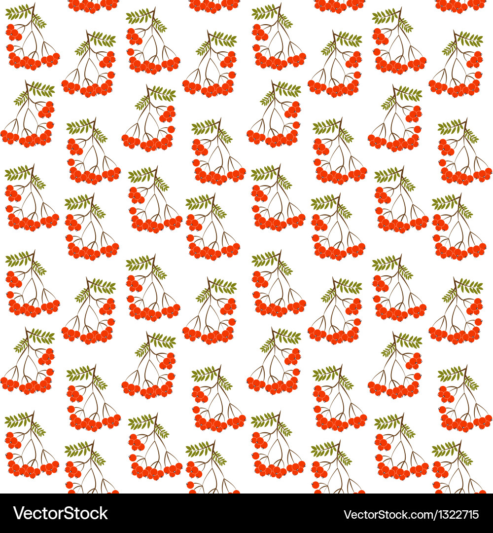 Seamless pattern background with rowanberrys vector image