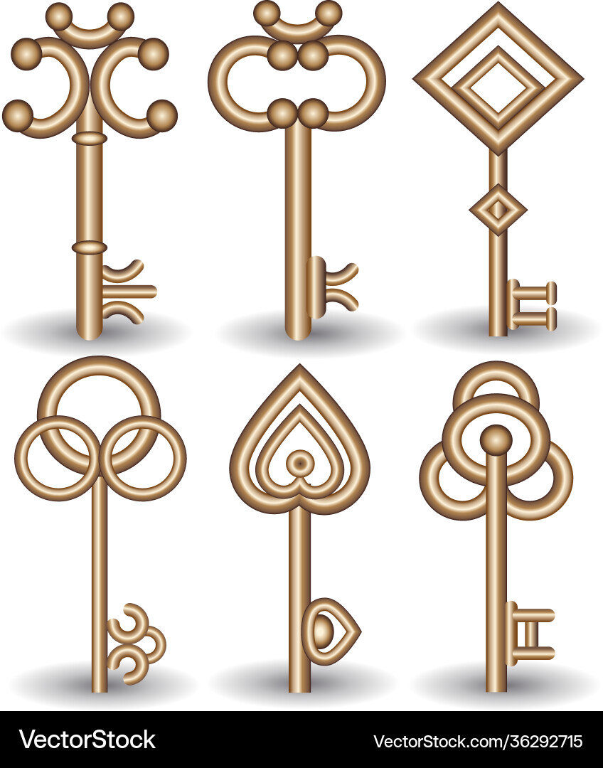 Set keys in gold color Set keys in gold color vector image