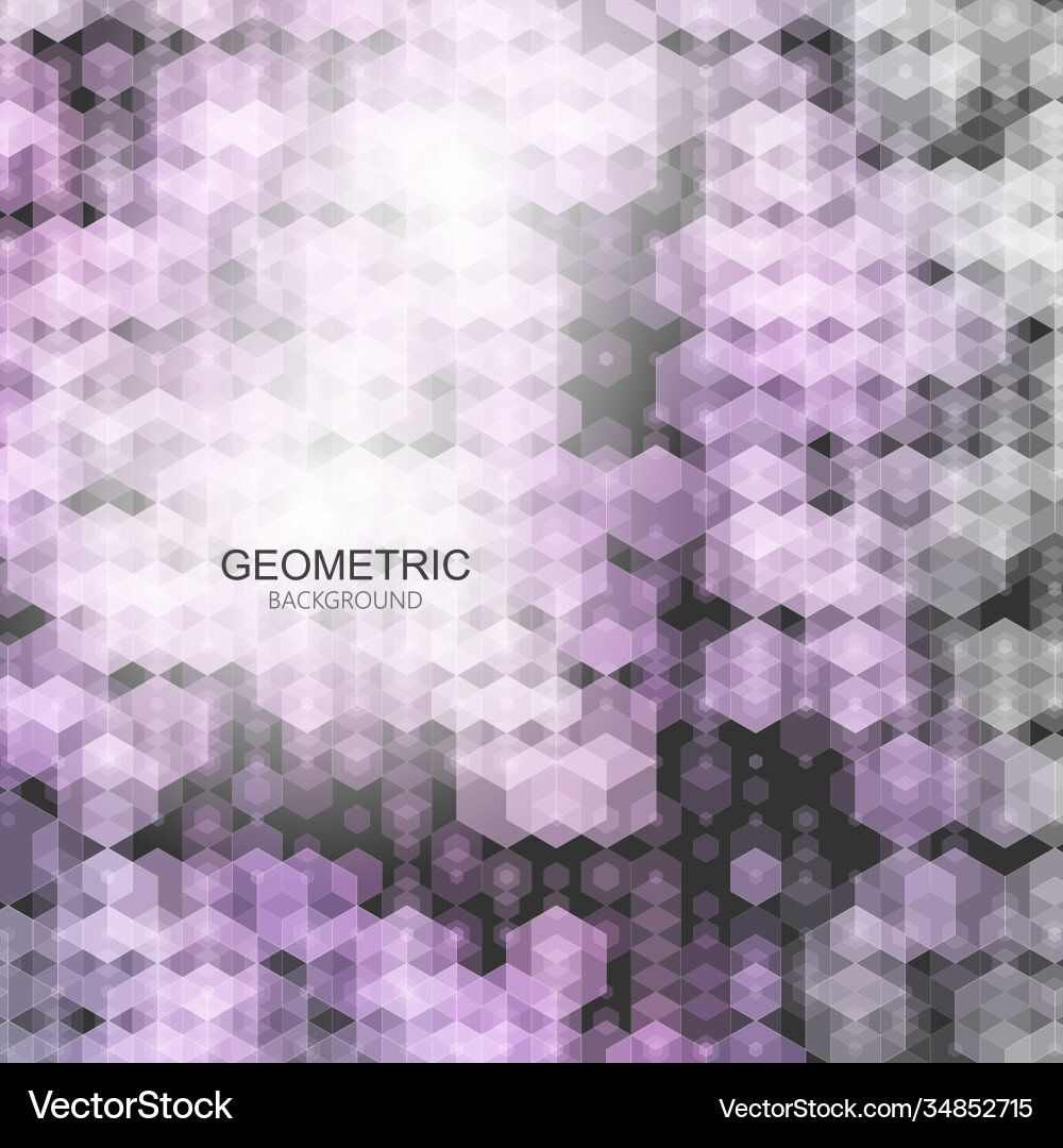Template design geometric color hexagon abstract Template design geometric color hexagon abstract vector image