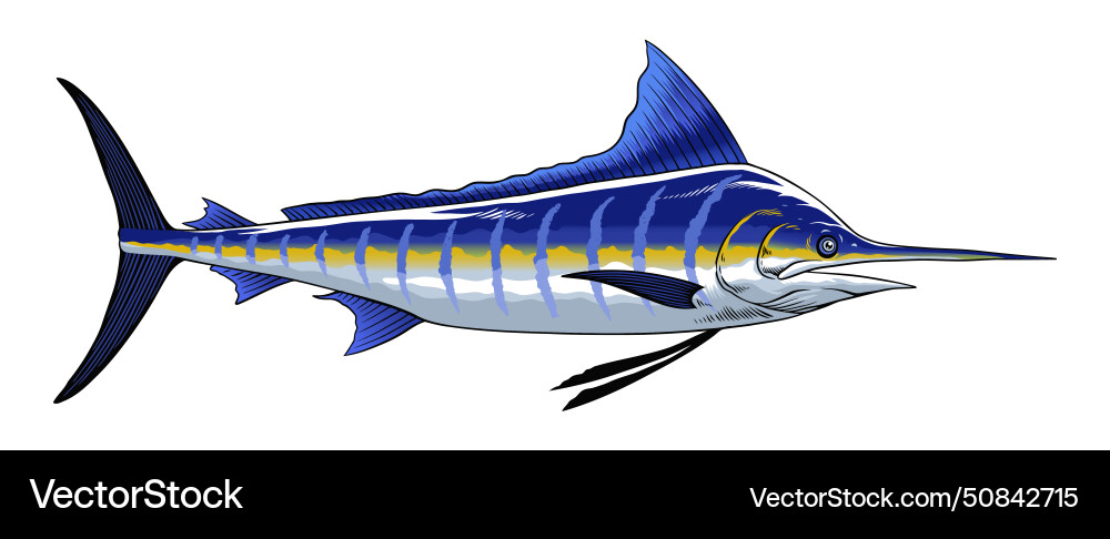Vintage blue marlin Royalty Free Vector Image - VectorStock