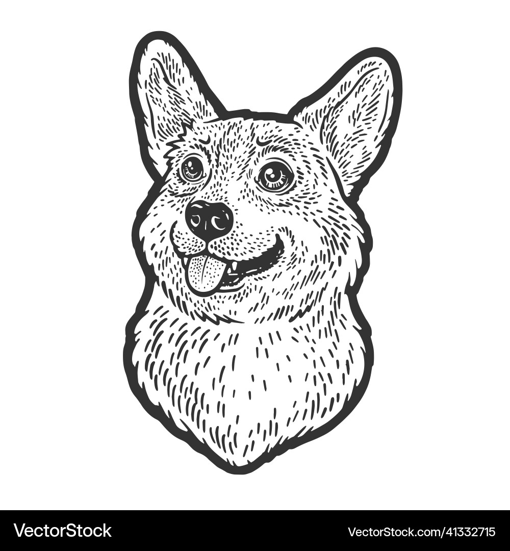 Welsh Corgi Sketch (41332715) – Royalty-Free Vector | VectorStock, image size:1000x1080