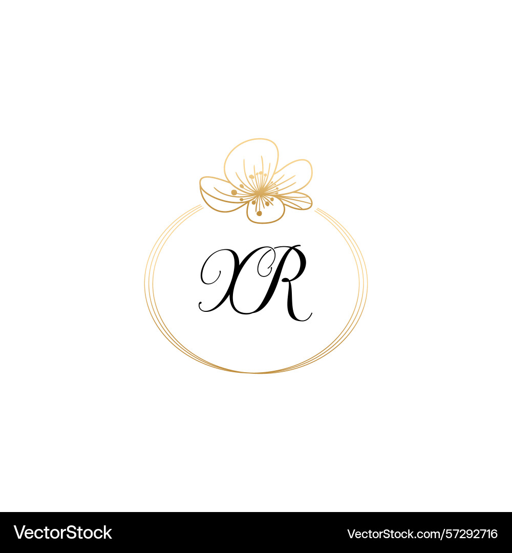 Botanical monogram logos with initial xr Botanical monogram logos with initial xr Vector Image