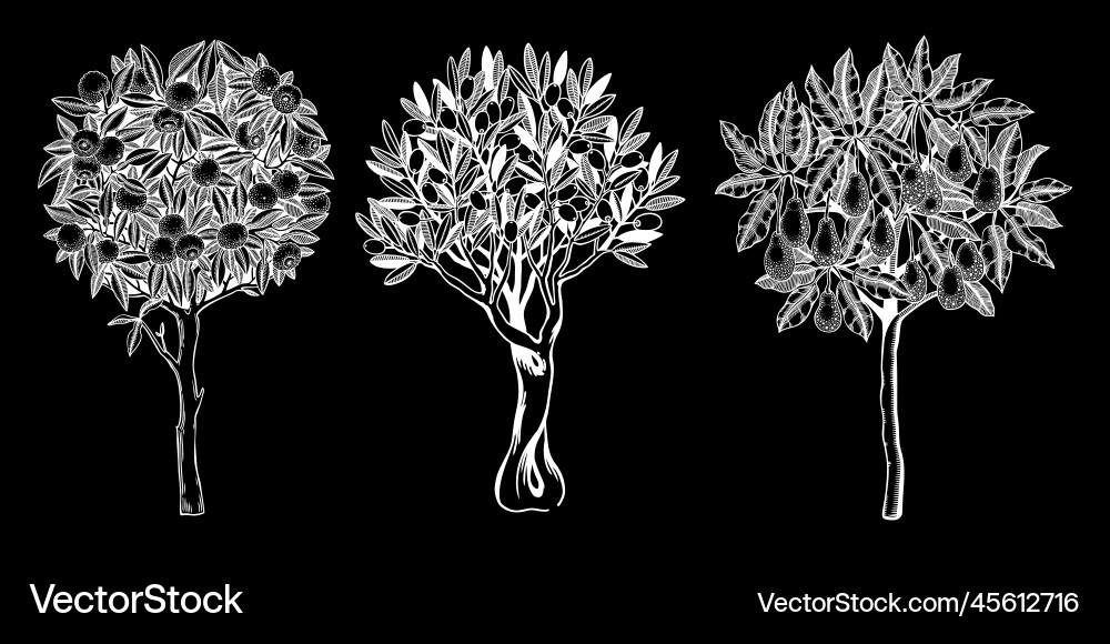 Sketch Bäume mit dekorativen Fruchtblättern Sketch Bäume mit dekorativen Fruchtblättern vektorbild