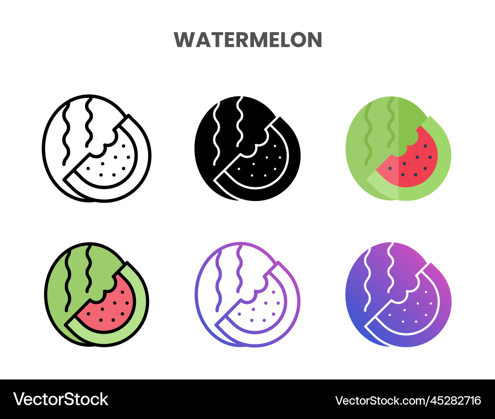 Watermelon icons set with different styles Vector Image