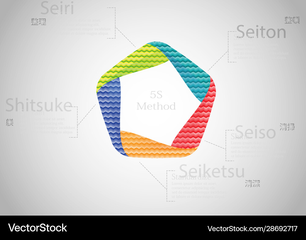 5s method infographic template with pattern fill Vector Image
