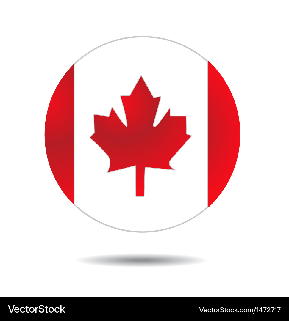Flag icon button Vector Image